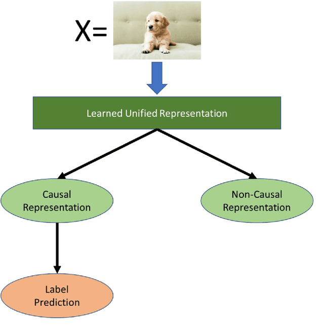 Figure 3 for Domain Generalization -- A Causal Perspective