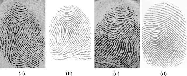 Figure 1 for Separating the Real from the Synthetic: Minutiae Histograms as Fingerprints of Fingerprints