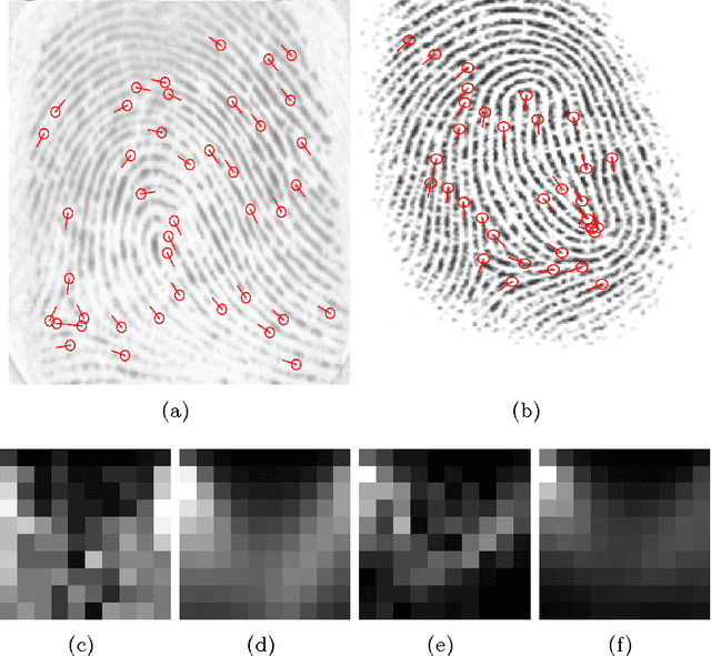 Figure 4 for Separating the Real from the Synthetic: Minutiae Histograms as Fingerprints of Fingerprints