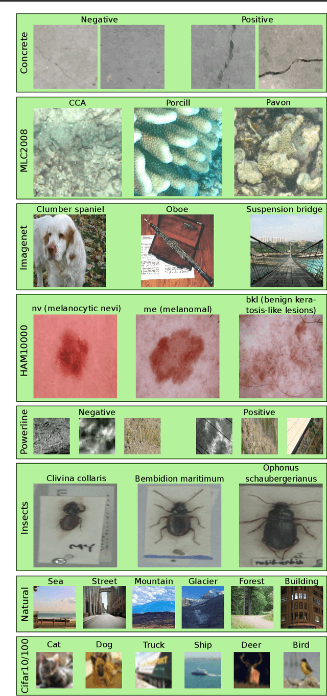 Figure 3 for Is it Enough to Optimize CNN Architectures on ImageNet?