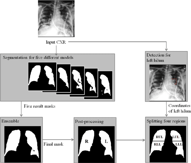 Figure 2 for Deep Learning-based Four-region Lung Segmentation in Chest Radiography for COVID-19 Diagnosis