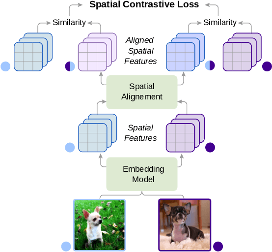 Figure 1 for Spatial Contrastive Learning for Few-Shot Classification