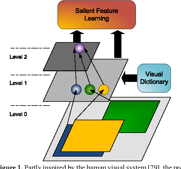 Figure 1 for Combined Learning of Salient Local Descriptors and Distance Metrics for Image Set Face Verification