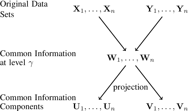 Figure 1 for Common Information Components Analysis