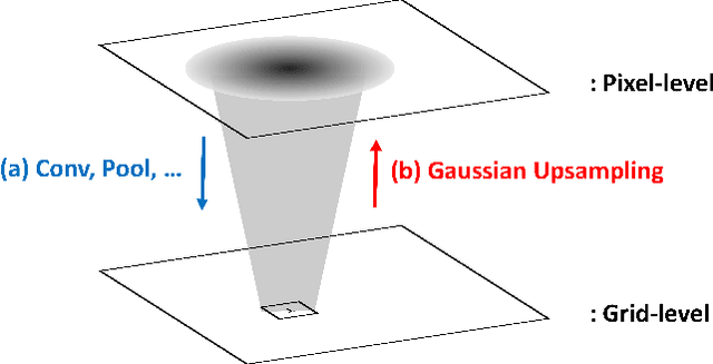 Figure 3 for Extending Class Activation Mapping Using Gaussian Receptive Field