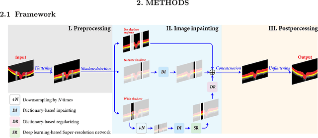 Figure 1 for Multi-scale Sparse Representation-Based Shadow Inpainting for Retinal OCT Images