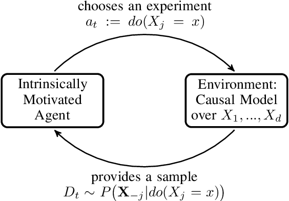 Figure 1 for Optimal experimental design via Bayesian optimization: active causal structure learning for Gaussian process networks