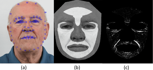 Figure 3 for Automated Assessment of Facial Wrinkling: a case study on the effect of smoking