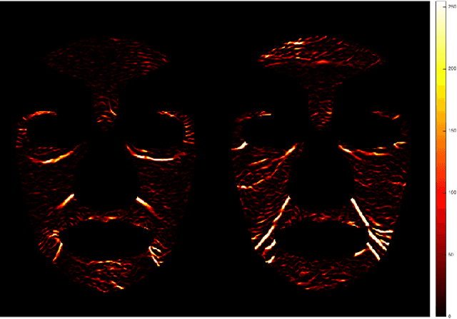 Figure 4 for Automated Assessment of Facial Wrinkling: a case study on the effect of smoking