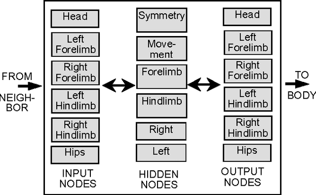 Figure 1 for EVOC: A Computer Model of the Evolution of Culture