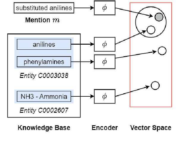 Figure 1 for BERT might be Overkill: A Tiny but Effective Biomedical Entity Linker based on Residual Convolutional Neural Networks