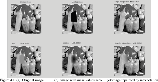 Figure 3 for Hierarchical Approach for Total Variation Digital Image Inpainting