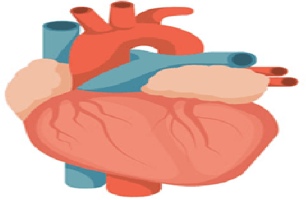 Figure 1 for Analysis and prediction of heart stroke from ejection fraction and serum creatinine using LSTM deep learning approach