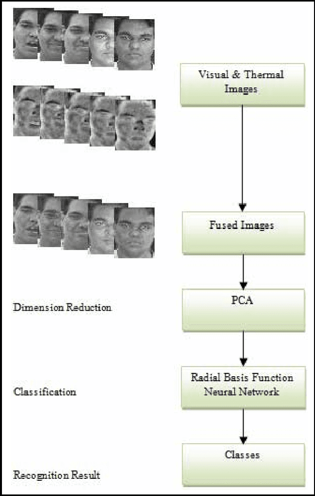 Figure 1 for Classification of Fused Images using Radial Basis Function Neural Network for Human Face Recognition