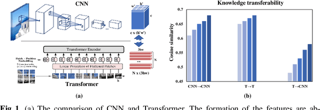 Figure 1 for Cross-Architecture Knowledge Distillation