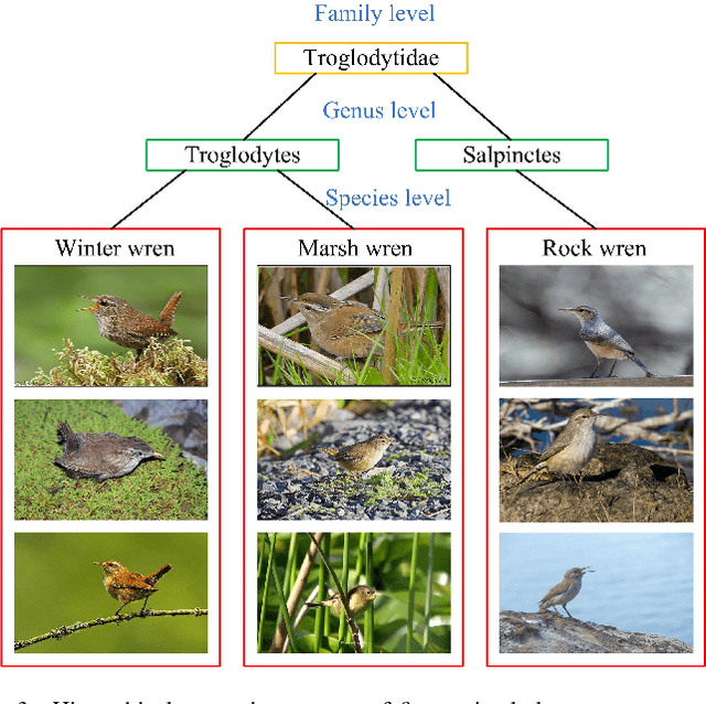 Figure 4 for Zero-Shot Fine-Grained Classification by Deep Feature Learning with Semantics