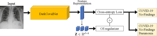 Figure 3 for Interpretable COVID-19 Chest X-Ray Classification via Orthogonality Constraint
