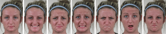Figure 1 for Weakly Supervised Learning for Facial Behavior Analysis : A Review