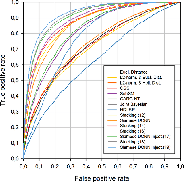 Figure 4 for Large age-gap face verification by feature injection in deep networks