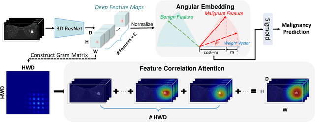 Figure 1 for Deep Angular Embedding and Feature Correlation Attention for Breast MRI Cancer Analysis