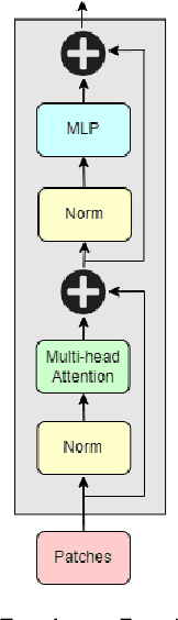 Figure 3 for Self-Supervised Vision Transformers for Malware Detection