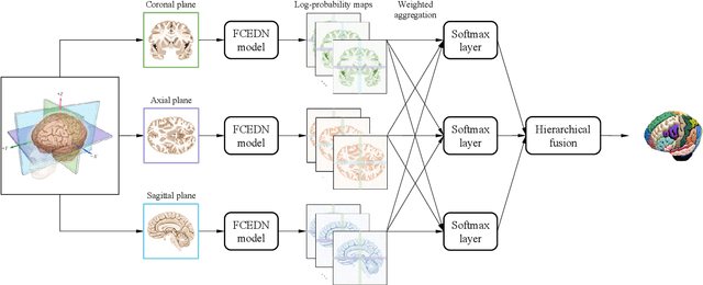 Figure 1 for FAST-AID Brain: Fast and Accurate Segmentation Tool using Artificial Intelligence Developed for Brain