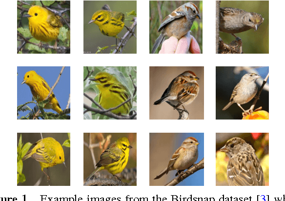 Figure 1 for Fine-Grained Classification via Mixture of Deep Convolutional Neural Networks