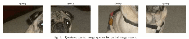Figure 2 for A Fast Content-Based Image Retrieval Method Using Deep Visual Features