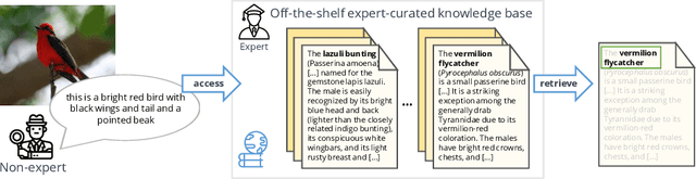 Figure 1 for The Curious Layperson: Fine-Grained Image Recognition without Expert Labels