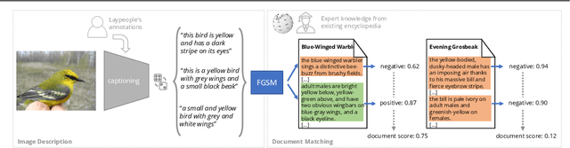 Figure 3 for The Curious Layperson: Fine-Grained Image Recognition without Expert Labels