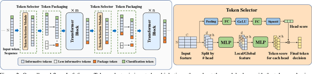 Figure 3 for SPViT: Enabling Faster Vision Transformers via Soft Token Pruning