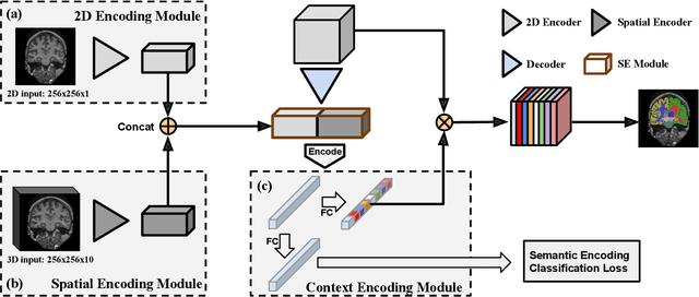 Figure 3 for Feature-Fused Context-Encoding Network for Neuroanatomy Segmentation