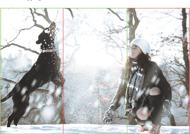 Figure 1 for Semantic Image Cropping