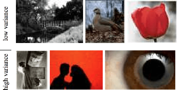 Figure 4 for Semantic Image Cropping