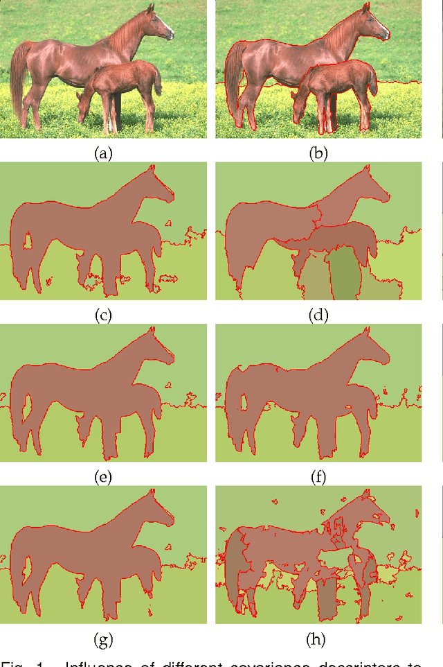 Figure 2 for Image segmentation with superpixel-based covariance descriptors in low-rank representation