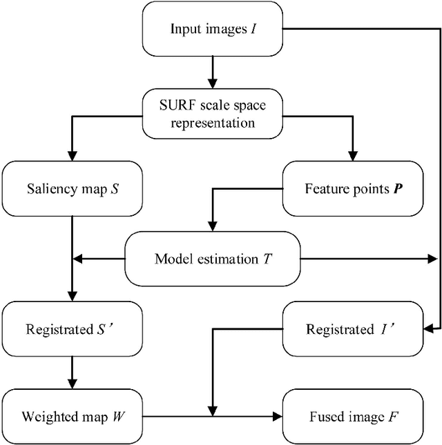 Figure 3 for Efficient Misalignment-Robust Multi-Focus Microscopical Images Fusion