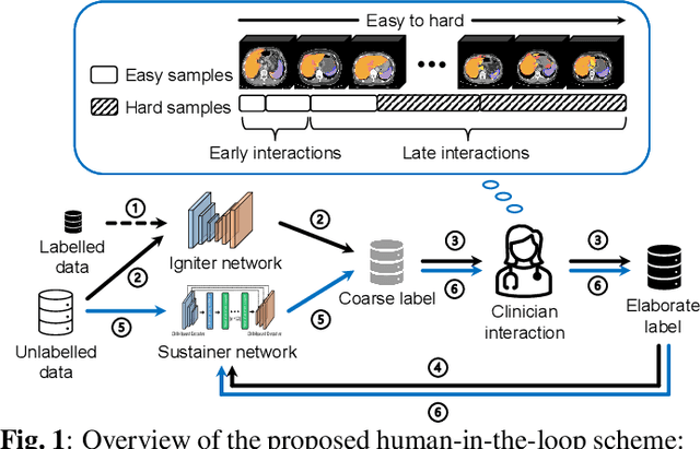 Figure 1 for Rapid model transfer for medical image segmentation via iterative human-in-the-loop update: from labelled public to unlabelled clinical datasets for multi-organ segmentation in CT