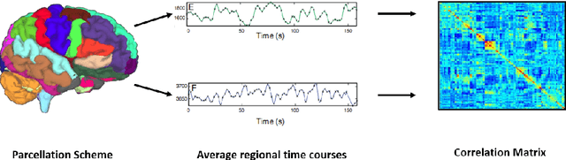 Figure 1 for A Joint Network Optimization Framework to Predict Clinical Severity from Resting State Functional MRI Data