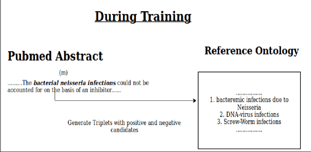 Figure 2 for Medical Entity Linking using Triplet Network