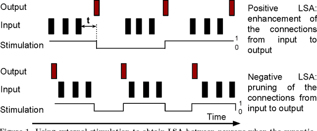 Figure 1 for Learning by Stimulation Avoidance: A Principle to Control Spiking Neural Networks Dynamics