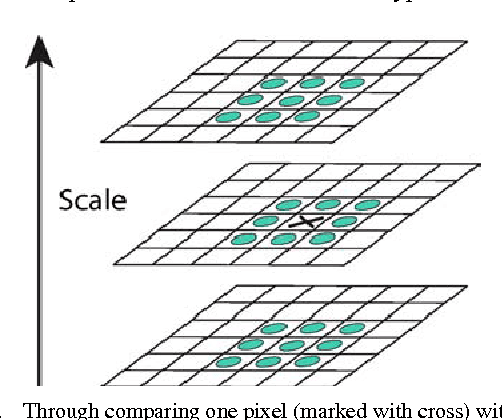 Figure 1 for Wood Species Recognition Based on SIFT Keypoint Histogram