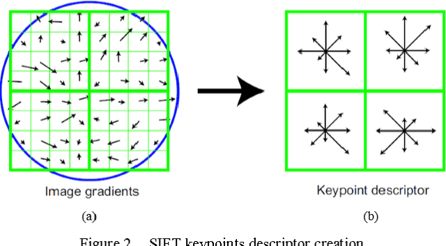 Figure 2 for Wood Species Recognition Based on SIFT Keypoint Histogram