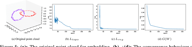 Figure 4 for On the Convergence of Optimizing Persistent-Homology-Based Losses