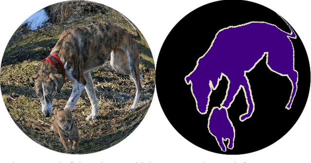 Figure 2 for Datasets for Face and Object Detection in Fisheye Images