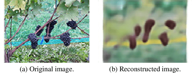 Figure 4 for Estimating Grape Yield on the Vine from Multiple Images