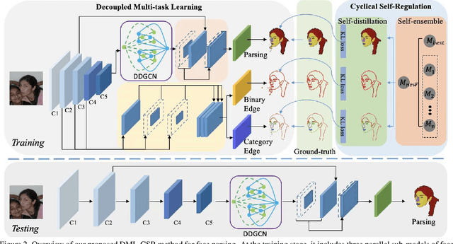 Figure 3 for Decoupled Multi-task Learning with Cyclical Self-Regulation for Face Parsing