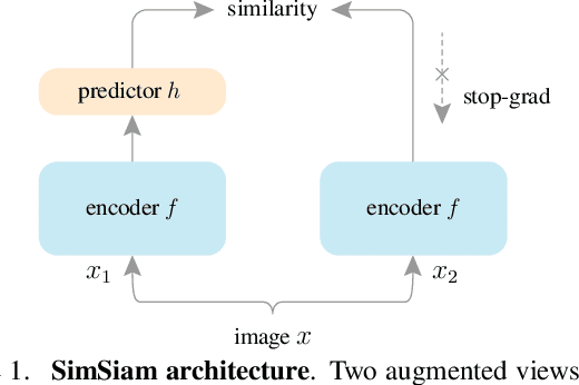 Figure 1 for Exploring Simple Siamese Representation Learning