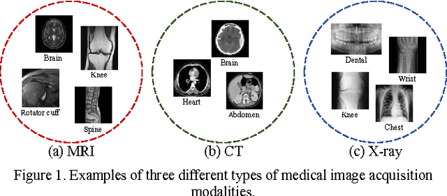 Figure 1 for Modality-bridge Transfer Learning for Medical Image Classification
