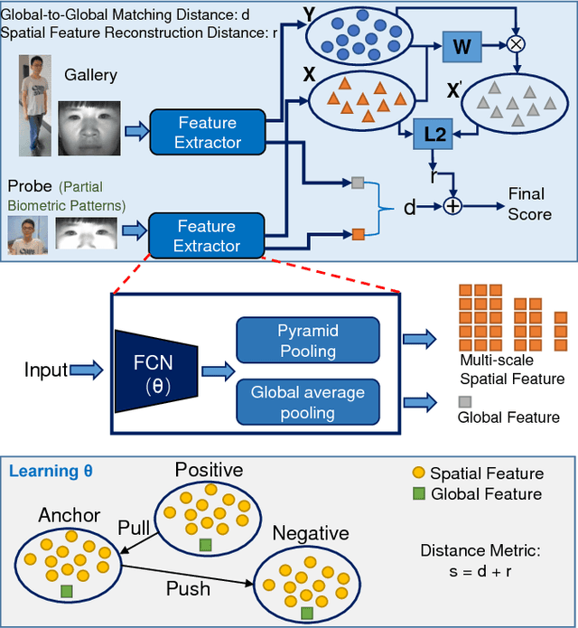 Figure 3 for Recognizing Partial Biometric Patterns