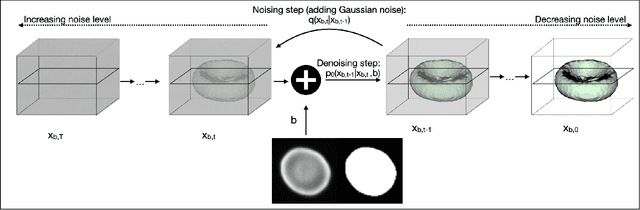Figure 3 for A Diffusion Model Predicts 3D Shapes from 2D Microscopy Images
